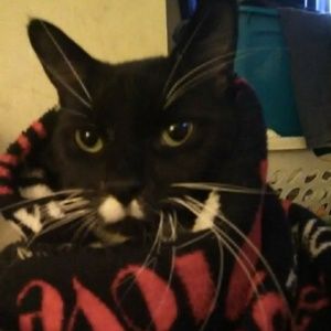 Meet your Posher, Peggy